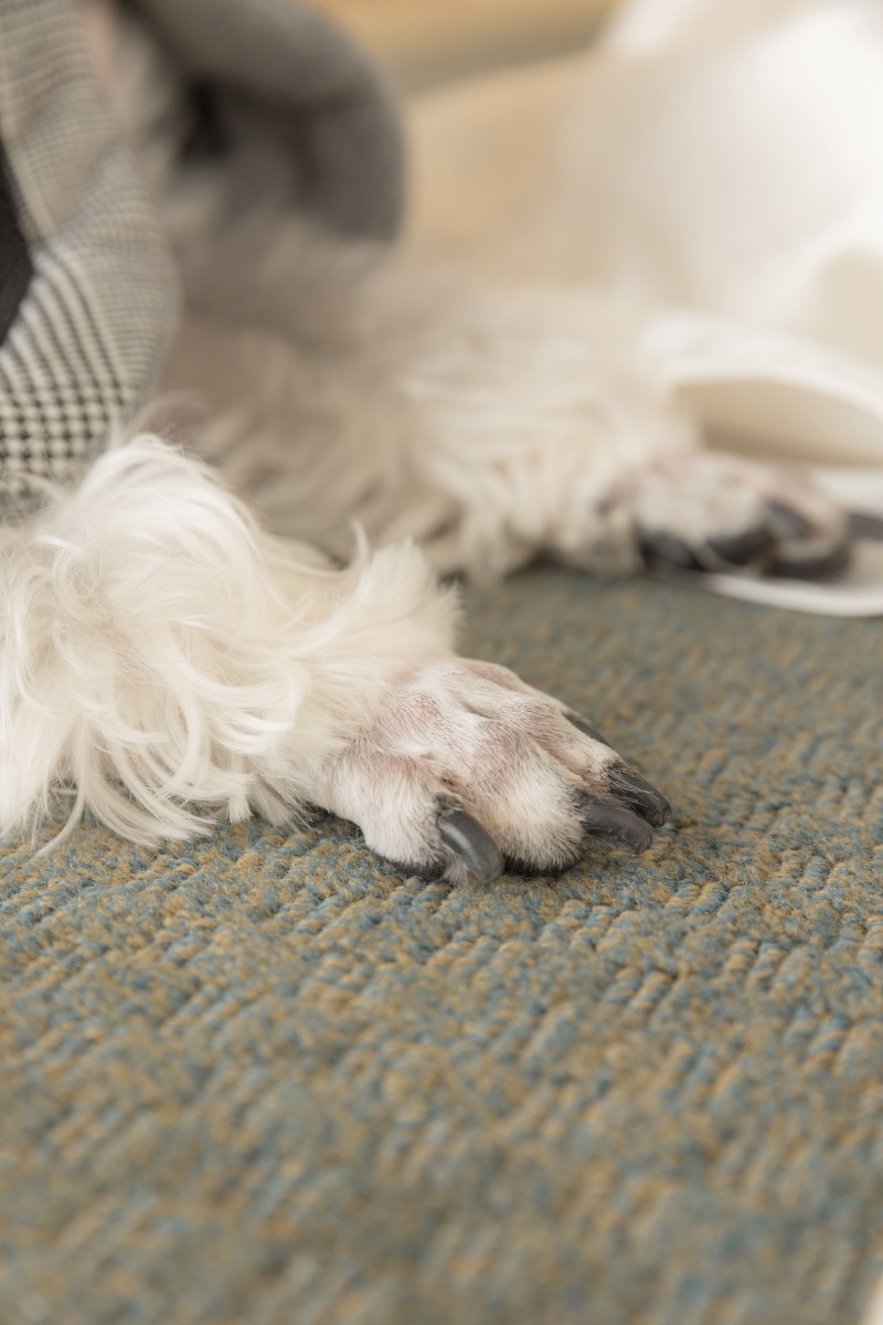 パーツカットもお任せください!