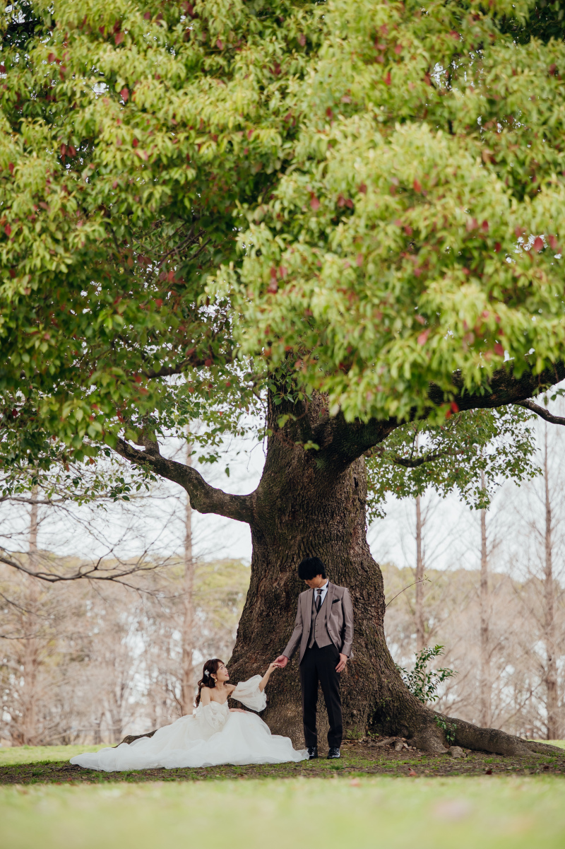 ケヤキの木の下で