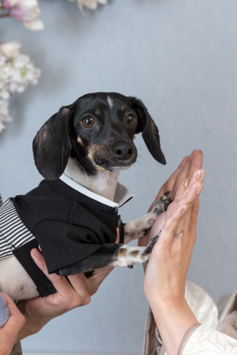 可愛いハイタッチショット♡