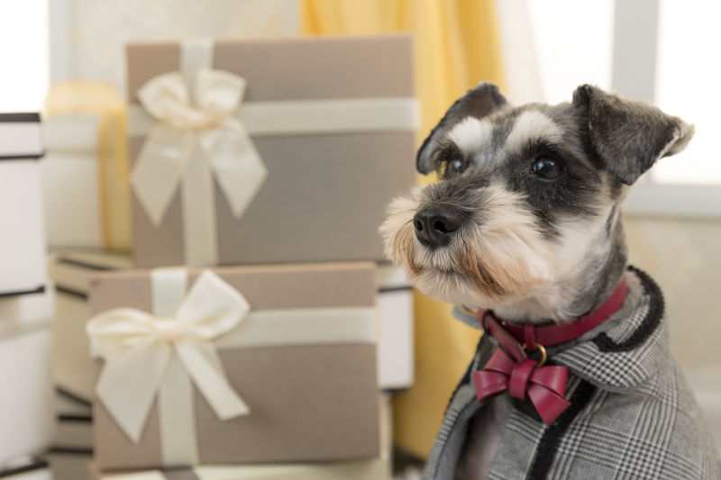 Photo Maison &eacute;crin 名古屋店