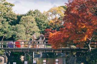 Photo Maison écrin 名古屋店_白鳥庭園