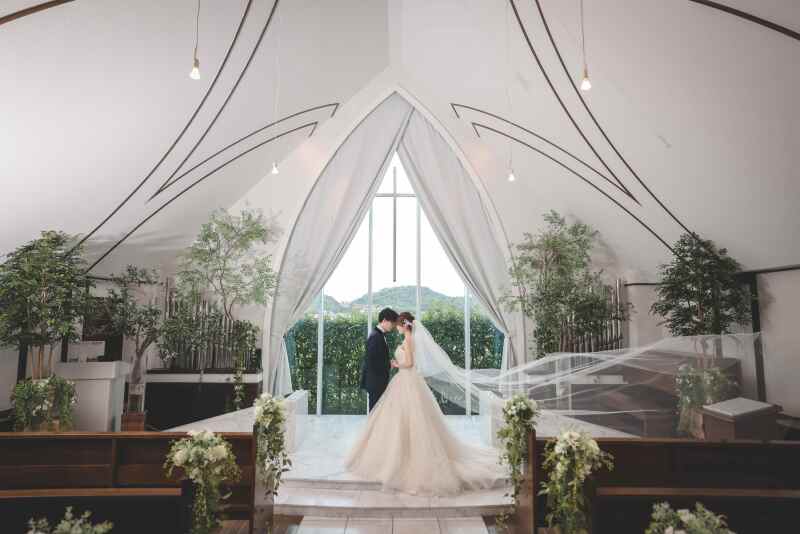 ドレス2点プラン！