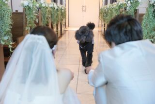 【和装2点洋装2点プラン】大切なワンちゃんと一緒に♡