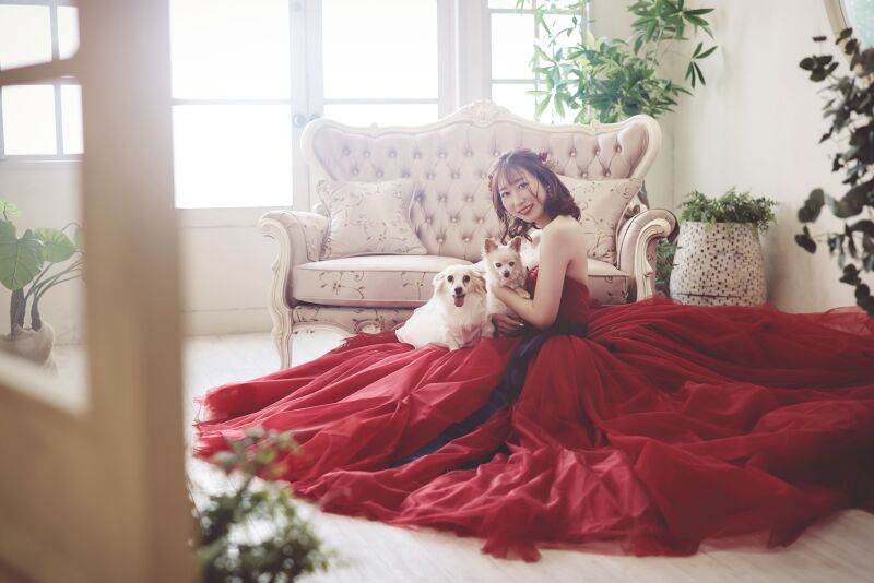 かわいいワンちゃんとのお座りショット