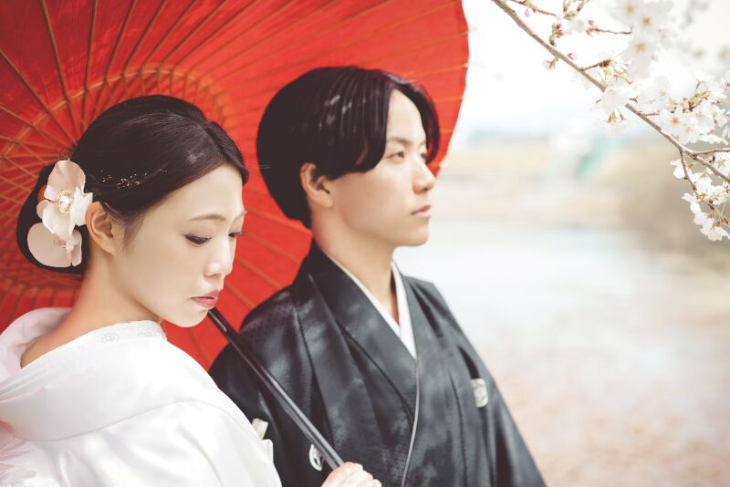 白無垢×和傘×桜 素敵すぎるシチュエーション♪