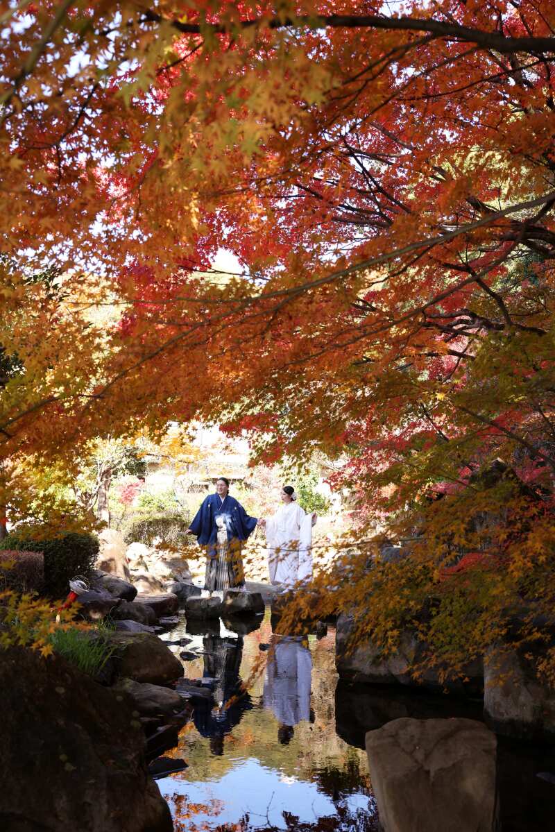 紅葉に囲まれて。