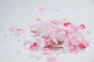 フラワーシャワー撮影