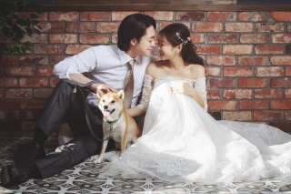 ペットとの撮影