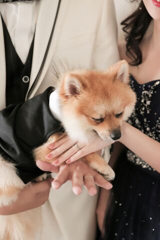 BRIDAL PHOTO STUDIO LUXE 松山 -リュクス松山-_ペットフォト撮影