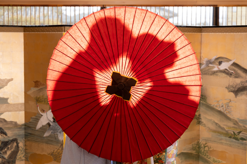 和装でシルエット撮影