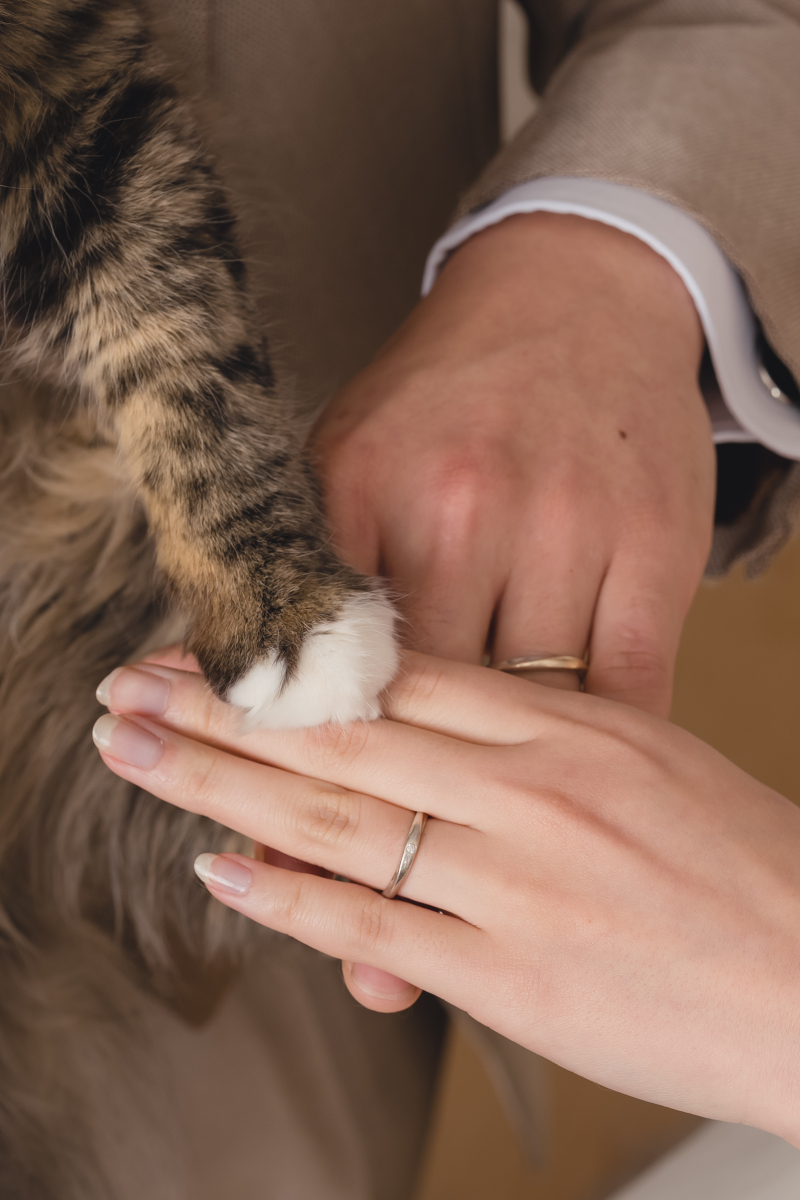 LINEでの相談ができて安心！