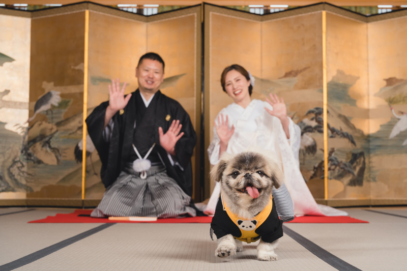 8sta 伴右衛門（はちすたばんえもん）_ペットと一緒に撮影できる