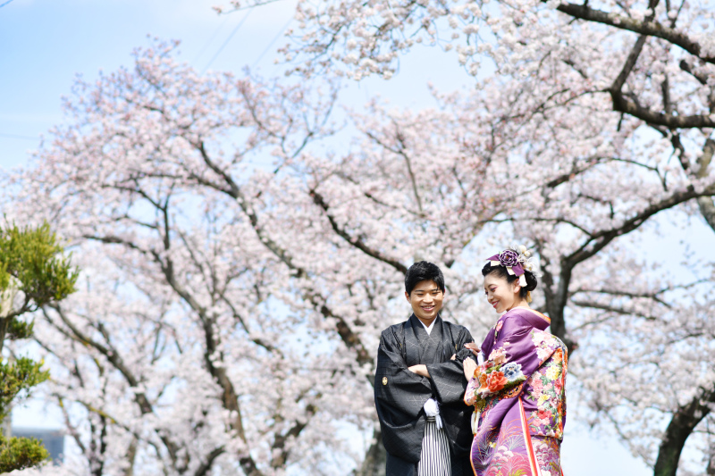 桜並木の下で✷