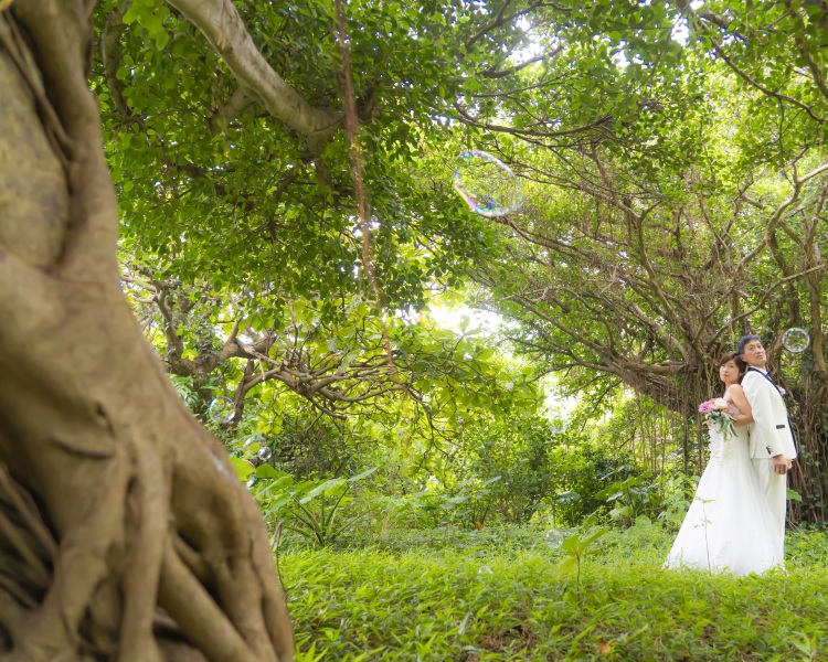 絵本の中にいるような