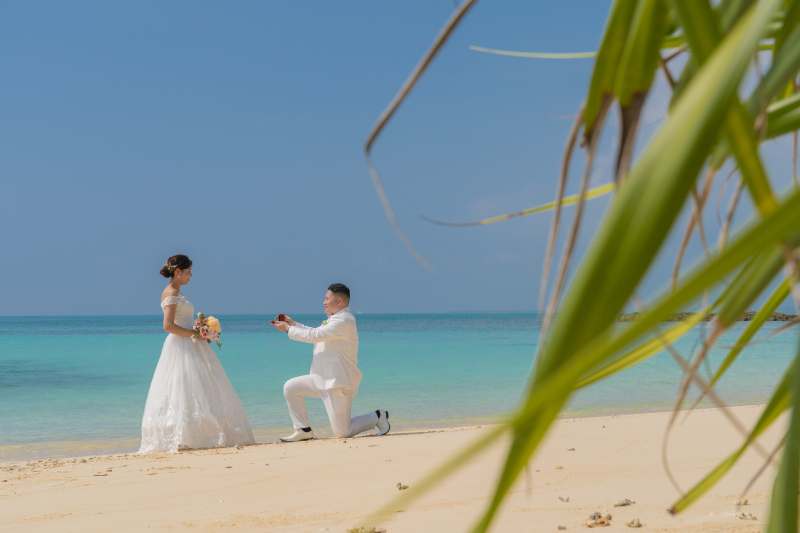 青空の下でプロポーズ