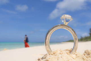 パッと華やぐカラードレス✧