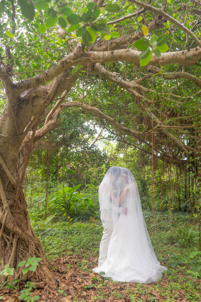 ベール越しの誓い