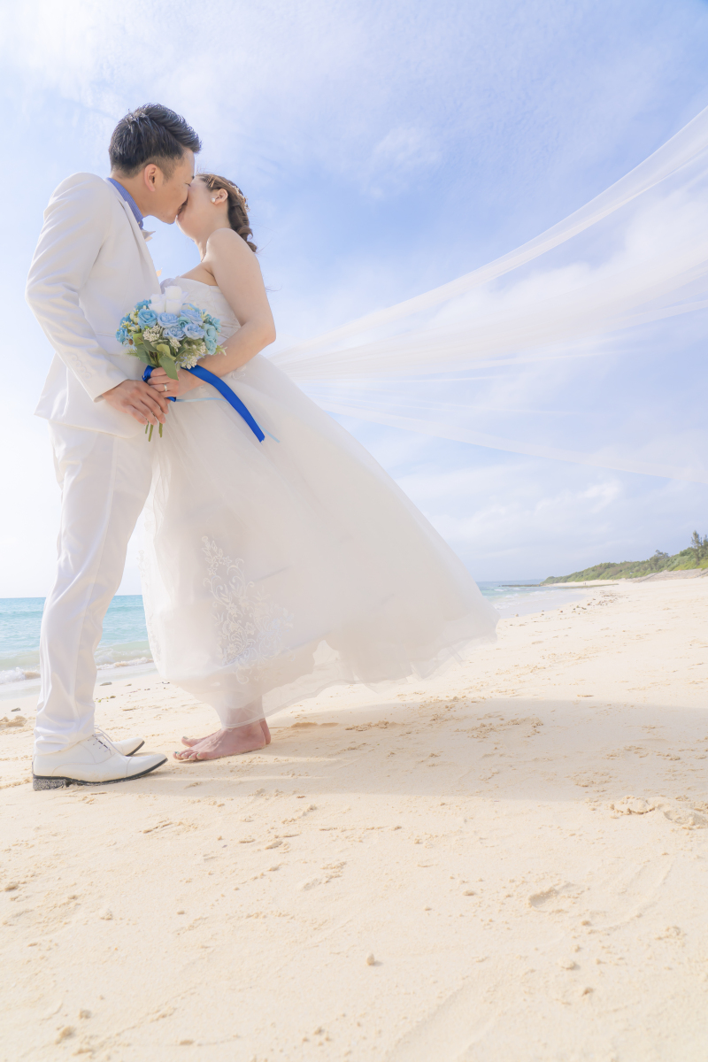 ロングベール✧