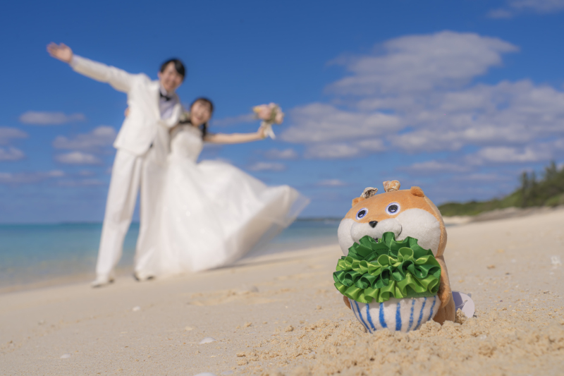 お気に入りのアイテムと