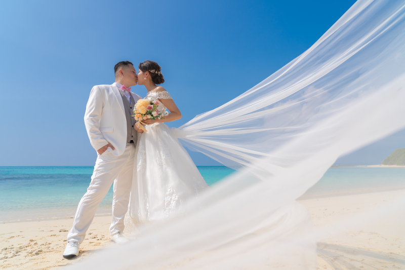 ベールが描くロマンの風景