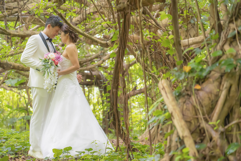 ガジュマルの木