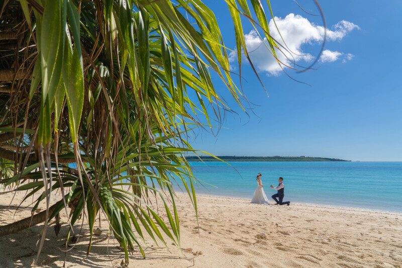 木陰から始まる、特別なサプライズ