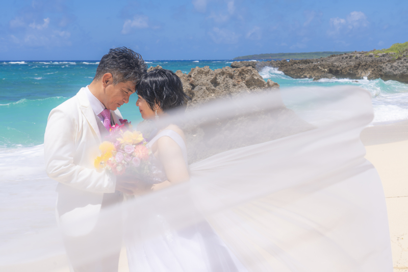 ロングベール⋆