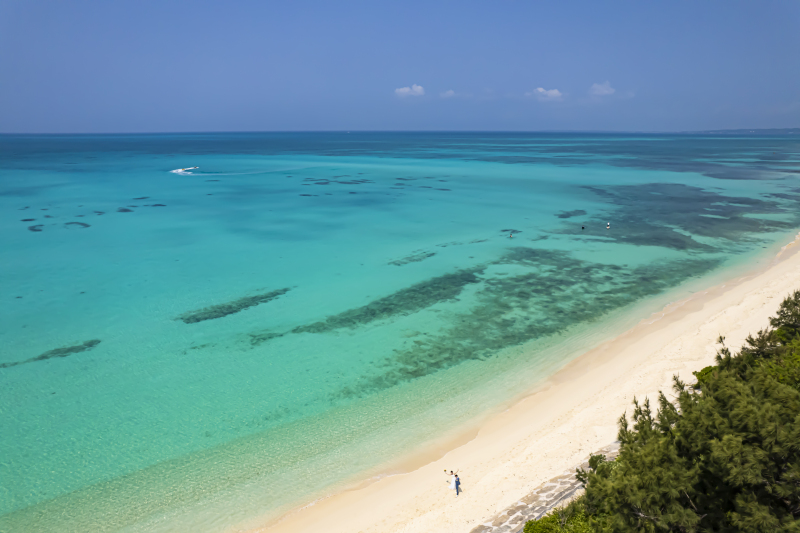 ドローン撮影♪