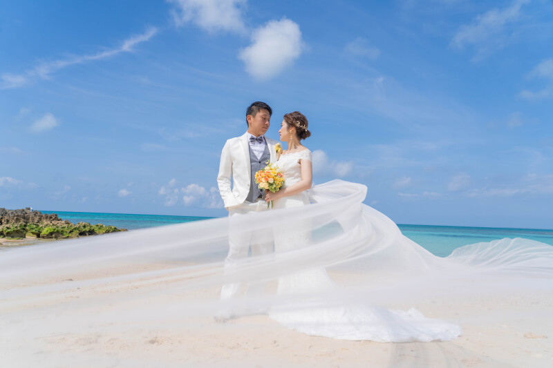 風をまとうベールショット