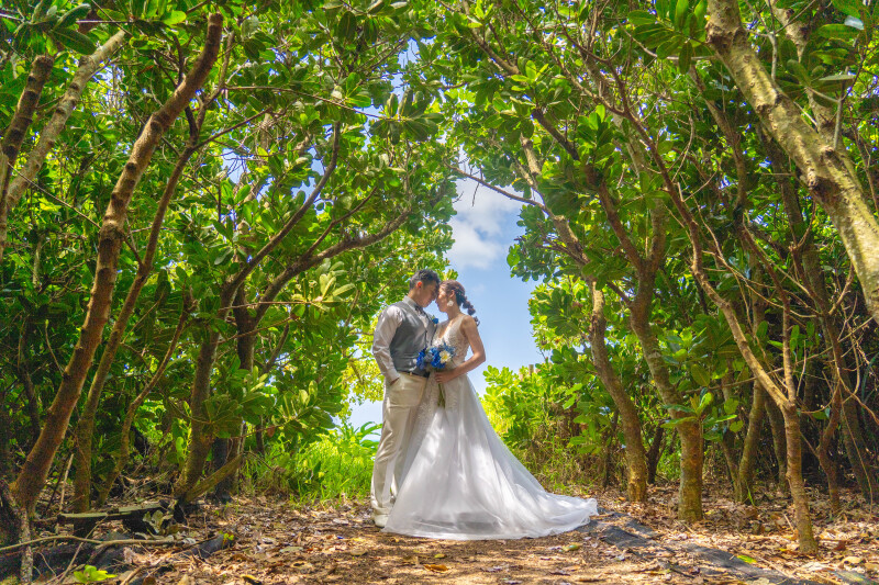 木々に囲まれたグリーンフォト