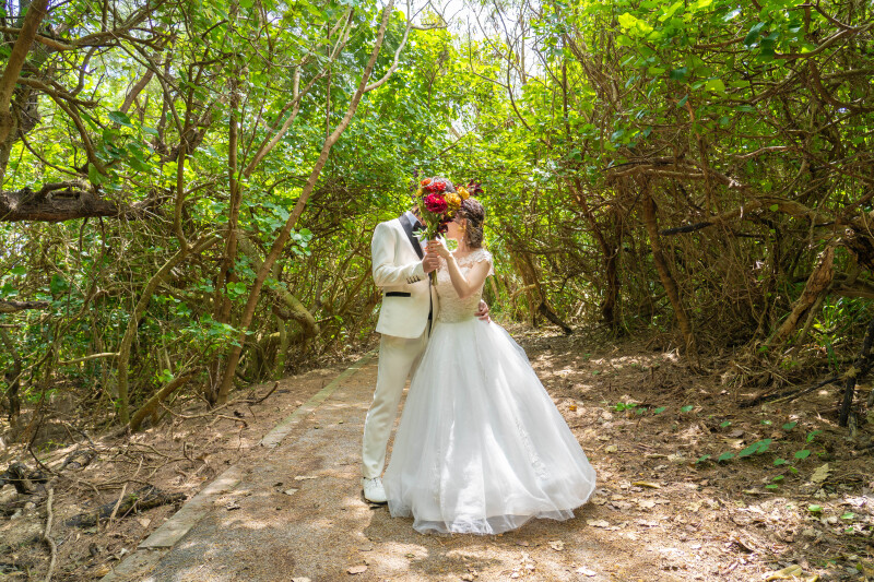 木々に包まれる