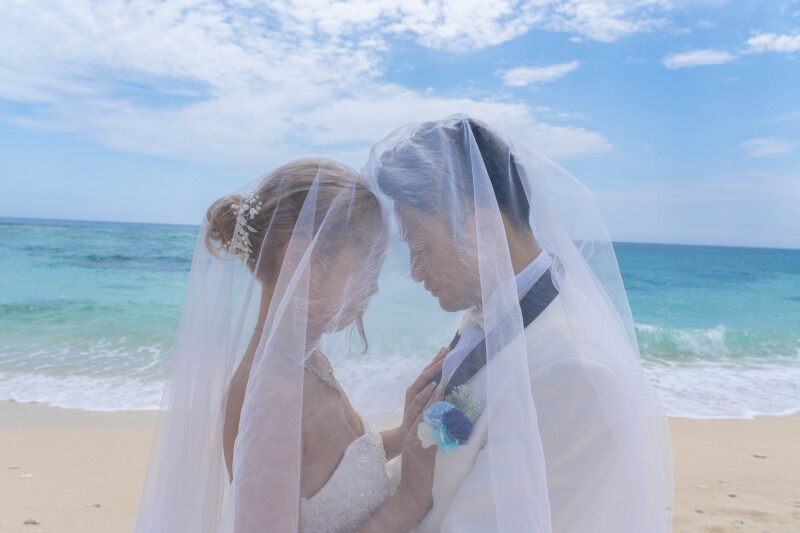 ベール越しに重なる想い