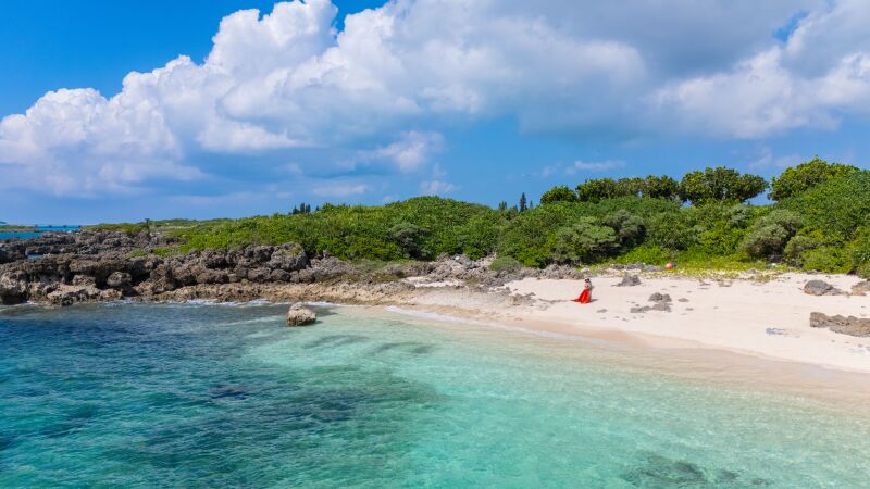広がる海と特別なワンシーン