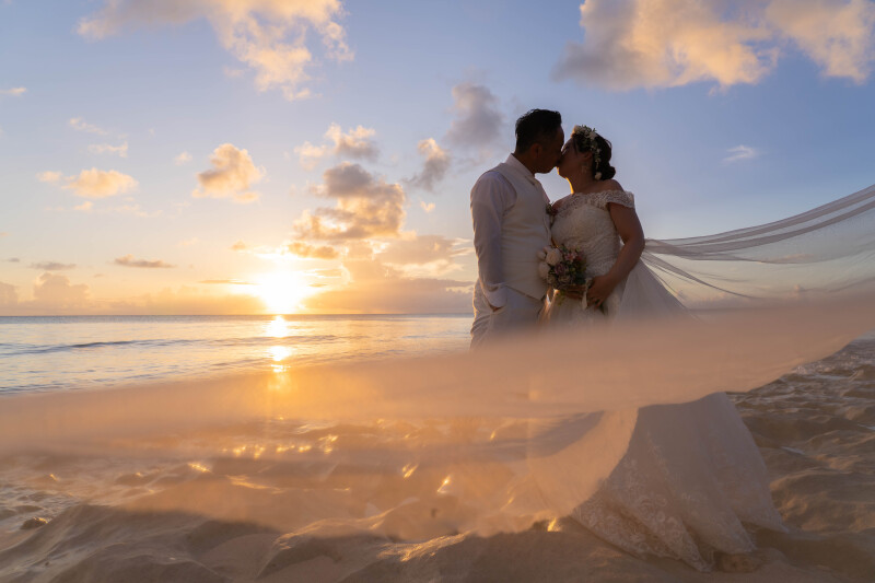 空へと伸びる、静かな余韻