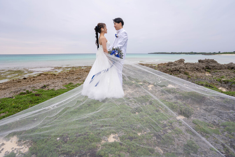 風にほどけるヴェールと、まなざしの先