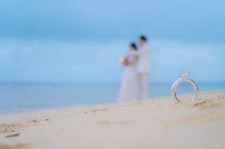 柔らかい雰囲気の中