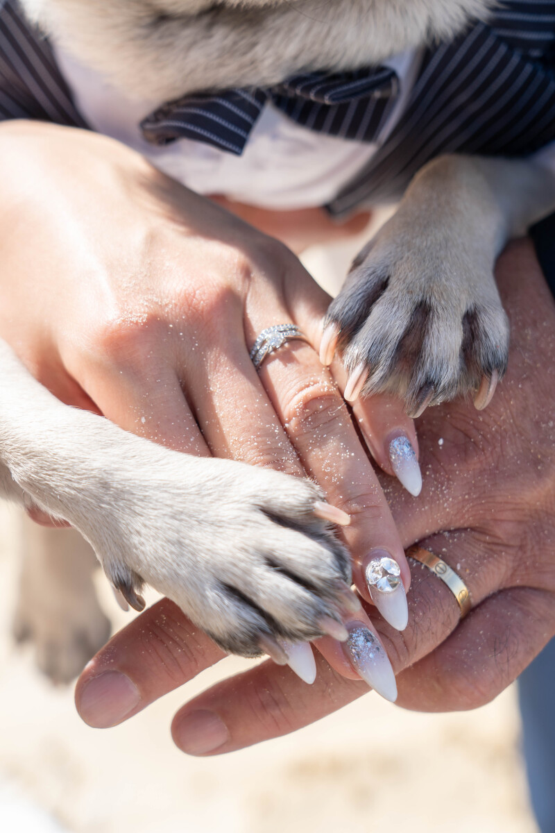 小さな手が重なる、愛の証