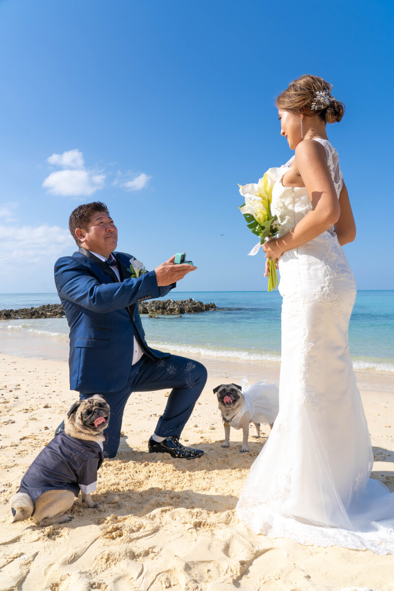 海辺で贈るサプライズプロポーズ