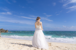 幸せを呼ぶ四つ葉のクローバー