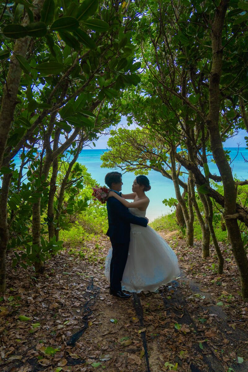 緑のトンネルが迎える撮影スポット