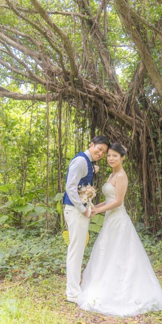 神秘的な大自然