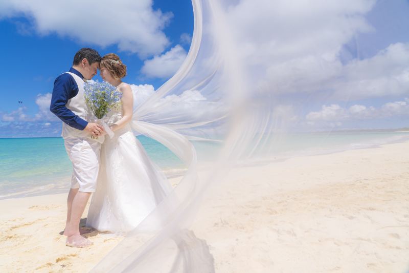 ロングベール⋆