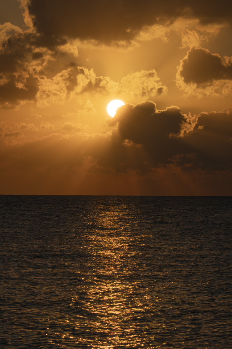 日中の輝く太陽と海も魅力的ですが…