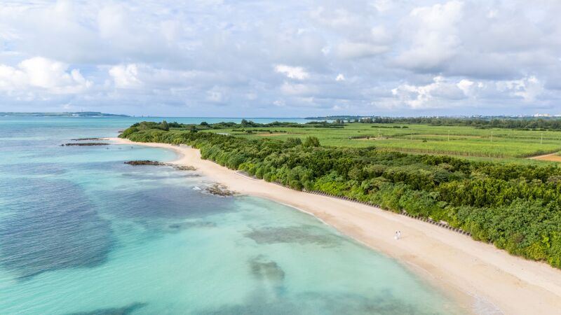 静かな浜辺で寄り添うふたり