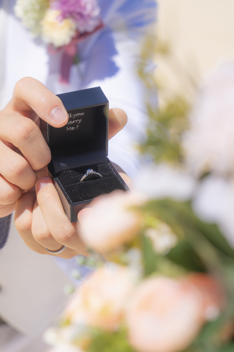 太陽に照らされた