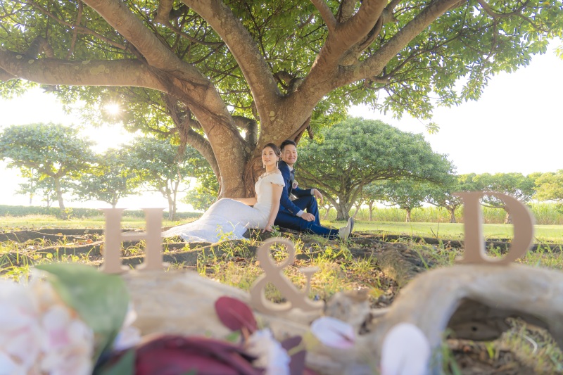 大きな木の下で~