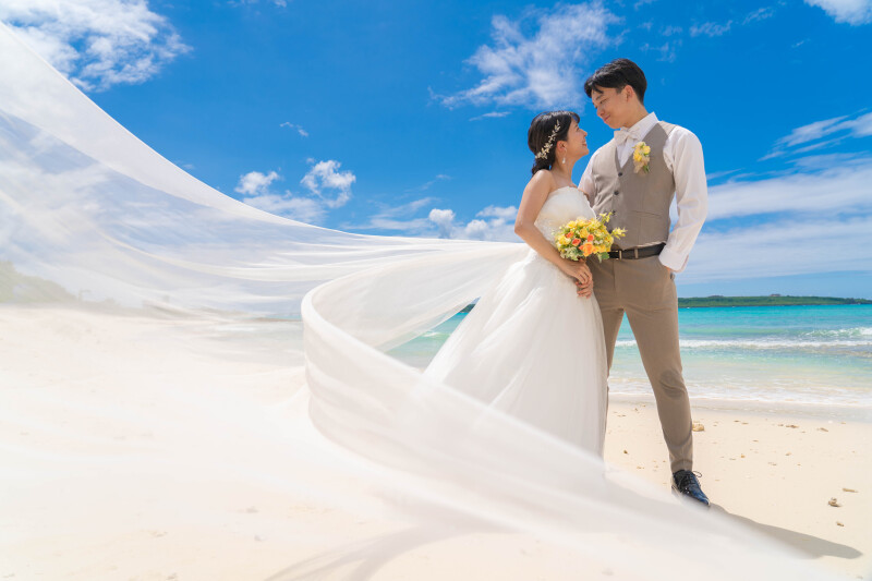 風をまとうドレス