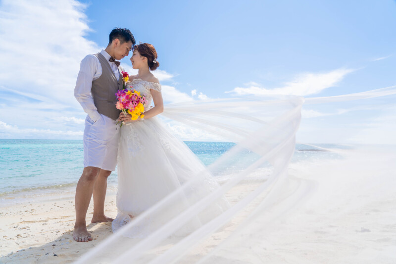 風とベールに包まれて