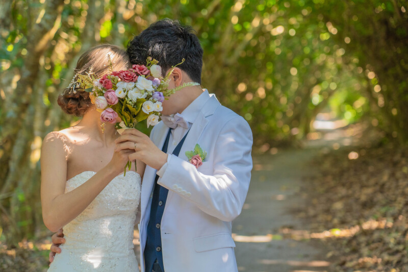 木漏れ日の小道で