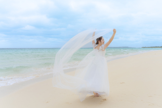 ベールの美しさを際立てて⋆